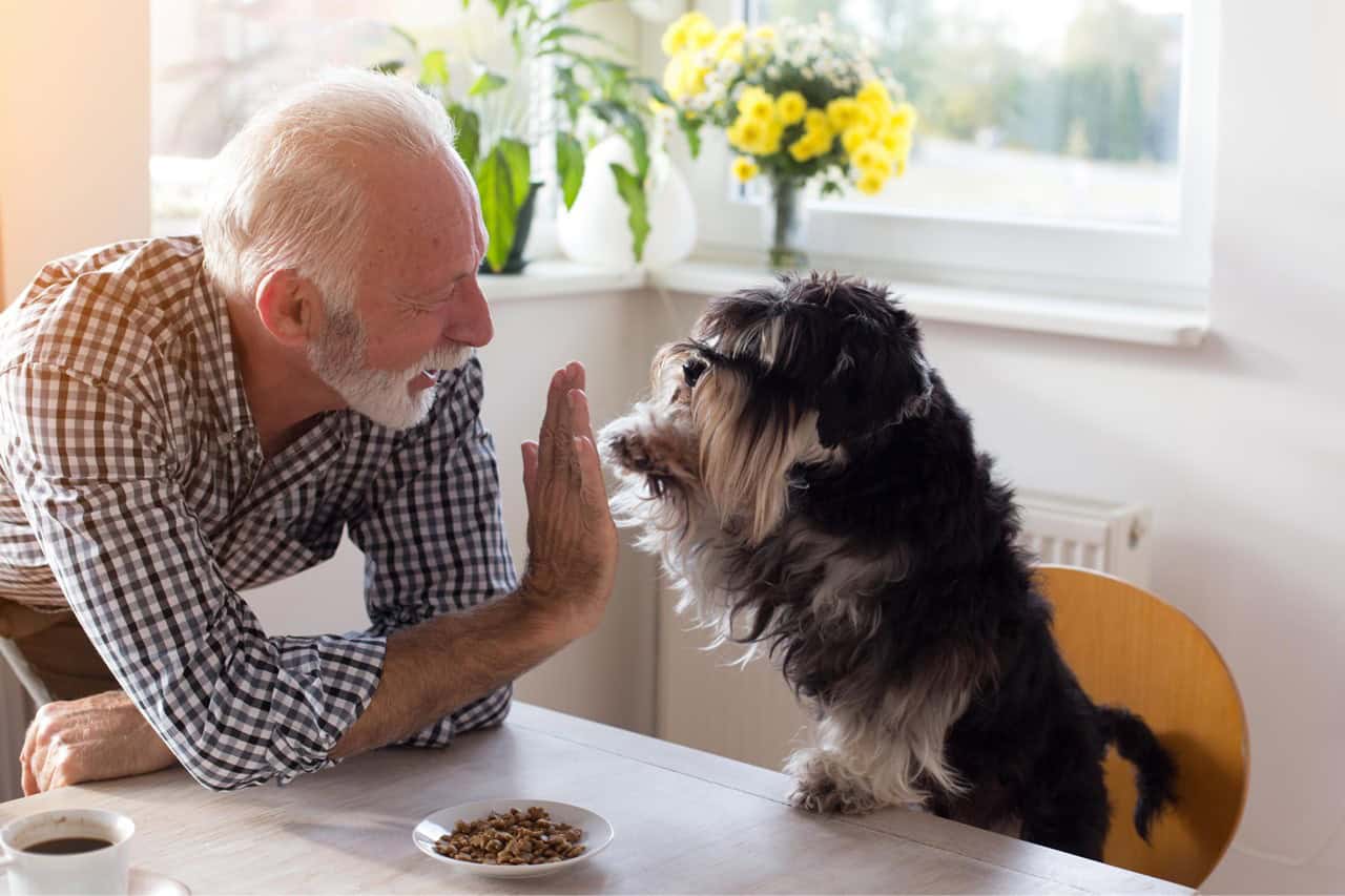 Older man with gray hair and beard giving high five to his dog.