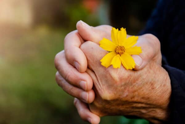 Hands gently clasped, holding a bright yellow flower symbolizing natural beauty and confidence in gr.