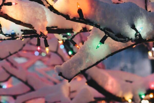 Snow-covered tree branches decorated with colorful Christmas lights during winter.