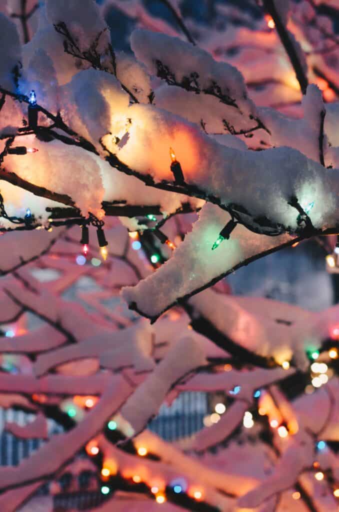 Snow-covered tree branches decorated with colorful Christmas lights during winter.