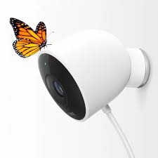 Logo of Gray Hairs Don't Care featuring a butterfly and text.